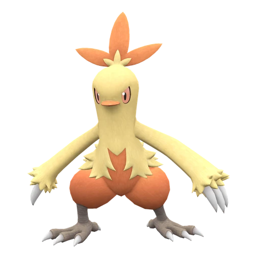 Combusken, Front, in Scarlet & Violet