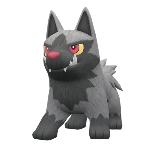 Poochyena, Front, in Scarlet & Violet
