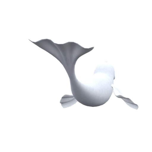 Dewgong, Back, in Scarlet & Violet