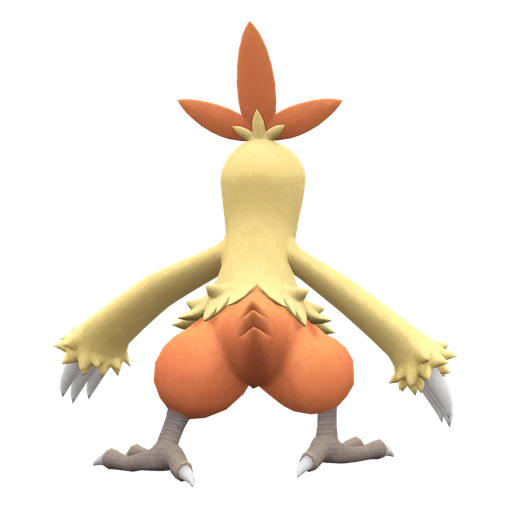 Combusken, Back, in Scarlet & Violet