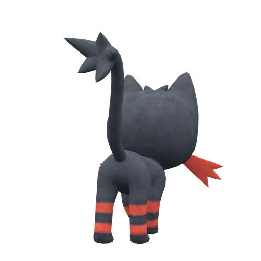 Litten, Back, in Scarlet & Violet