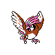 Pidgeotto in Silver