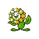 Sunflora in Silver