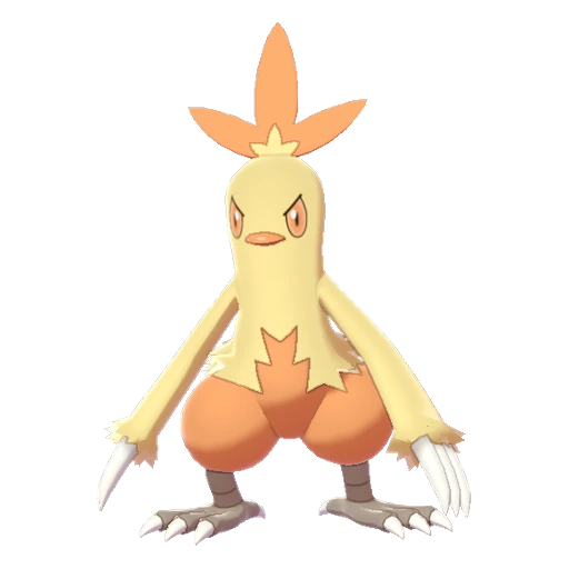 Combusken, Front, in Sword & Shield: The Crown Tundra