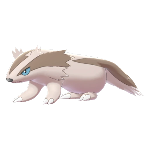 Linoone, Front, in Sword & Shield: The Isle of Armor
