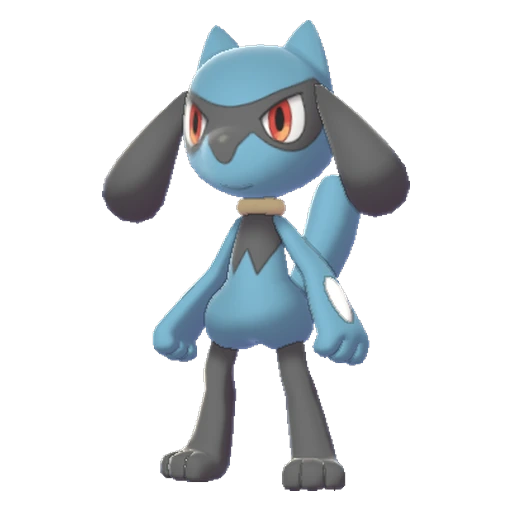 Riolu, Front, in Sword & Shield