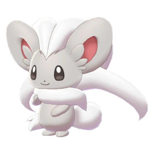 Cinccino, Front, in Sword & Shield: The Crown Tundra
