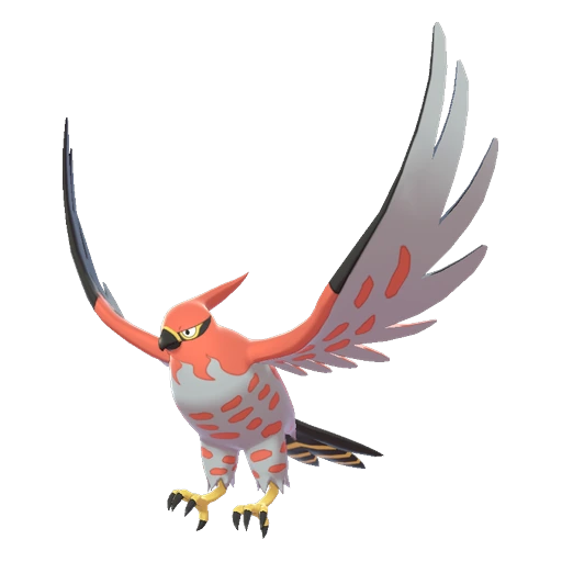 Talonflame, Front, in Sword & Shield