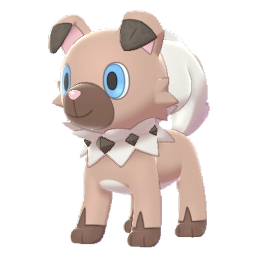 Rockruff, Front, in Sword & Shield: The Isle of Armor