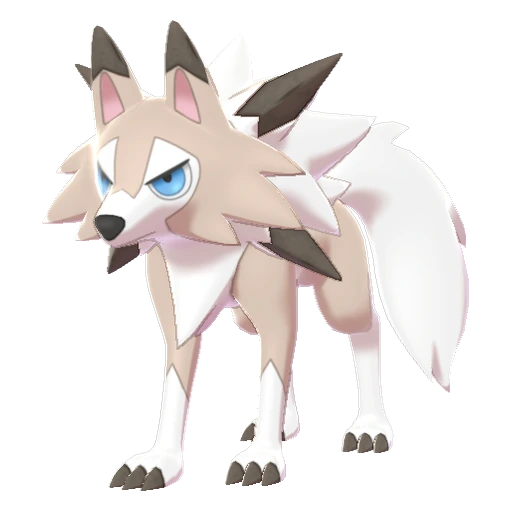 Lycanroc Midday Form, Front, in Sword & Shield: The Isle of Armor