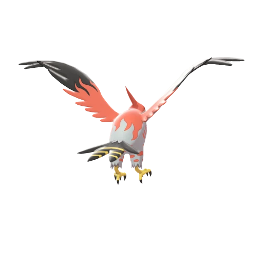 Talonflame, Back, in Sword & Shield