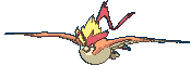 Pidgeot Mega in Ultra Sun & Ultra Moon