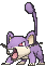 Rattata in Ultra Sun & Ultra Moon