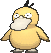 Psyduck, Front, in Ultra Sun & Ultra Moon
