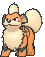 Growlithe, Front, in Ultra Sun & Ultra Moon