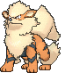 Arcanine, Front, in Ultra Sun & Ultra Moon