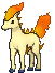 Ponyta, Front, in Sun & Moon