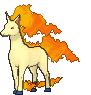 Rapidash in Ultra Sun & Ultra Moon