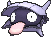 Shellder, Front, in Ultra Sun & Ultra Moon