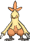 Combusken, Front, in Sun & Moon
