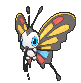 Beautifly, Front, in Ultra Sun & Ultra Moon
