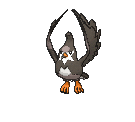 Staravia in Ultra Sun & Ultra Moon