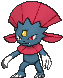 Weavile in Ultra Sun & Ultra Moon