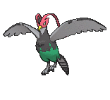 Unfezant in Ultra Sun & Ultra Moon