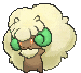 Whimsicott, Front, in Sun & Moon