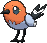 Fletchling, Front, in Ultra Sun & Ultra Moon