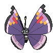 Vivillon Elegant in Ultra Sun & Ultra Moon