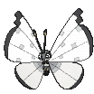 Vivillon Icy Snow, Front, in Sun & Moon