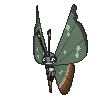 Vivillon Jungle, Front, in Ultra Sun & Ultra Moon
