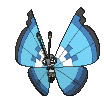 Vivillon Marine, Front, in Ultra Sun & Ultra Moon