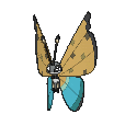 Vivillon River in Ultra Sun & Ultra Moon