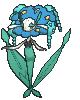 Florges Blue Flower, Front, in Ultra Sun & Ultra Moon