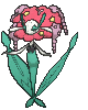 Florges Red Flower, Front, in Ultra Sun & Ultra Moon