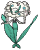 Florges White Flower in Ultra Sun & Ultra Moon
