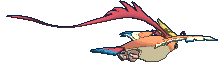 Pidgeot Mega, Back, in Ultra Sun & Ultra Moon