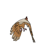 Fearow, Back, in Sun & Moon