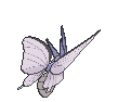 Venomoth, Back, in Ultra Sun & Ultra Moon