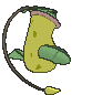 Victreebel, Back, in Sun & Moon