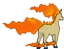 Rapidash, Back, in Ultra Sun & Ultra Moon