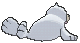 Seel, Back, in Ultra Sun & Ultra Moon