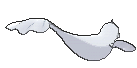 Dewgong, Back, in Sun & Moon