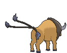 Tauros, Back, in Sun & Moon