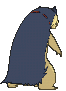 Typhlosion, Back, in Ultra Sun & Ultra Moon
