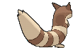 Furret, Back, in Sun & Moon