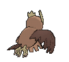 Noctowl, Back, in Ultra Sun & Ultra Moon