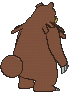 Ursaring, Back, in Ultra Sun & Ultra Moon